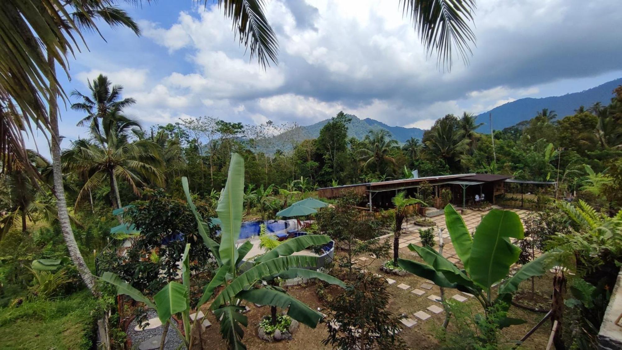 Sekumpul Bali Hidden Space Singaraja  Exterior photo